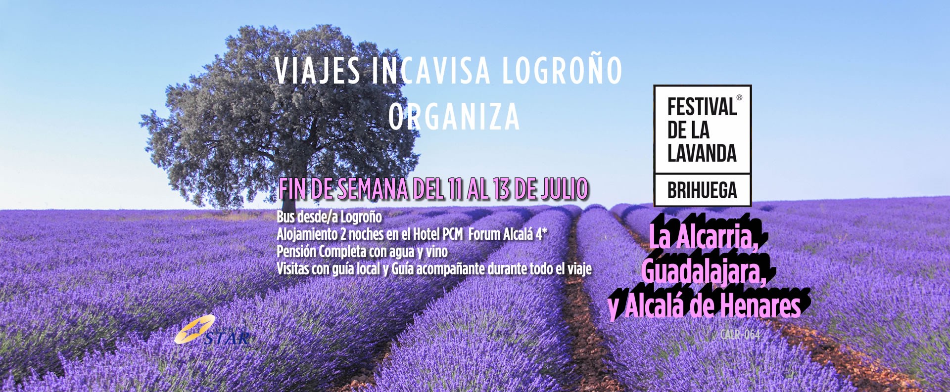 festival lavanda julio2025